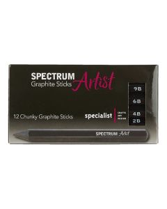 Spectrum Artist Graphite Chunky Stick Assortment