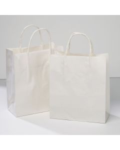 Loop Handle Paper Bags Pack